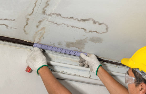 Reliable Burst Pipe Cleanup contractor in Lake Isabella, MI by Water Damage Irwin